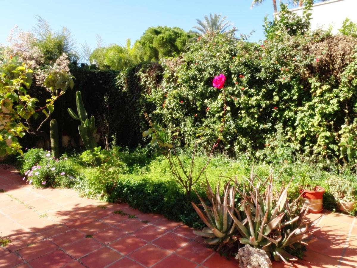 Villa Del Duque, Gandia - Playa de Gandia 外观 照片
