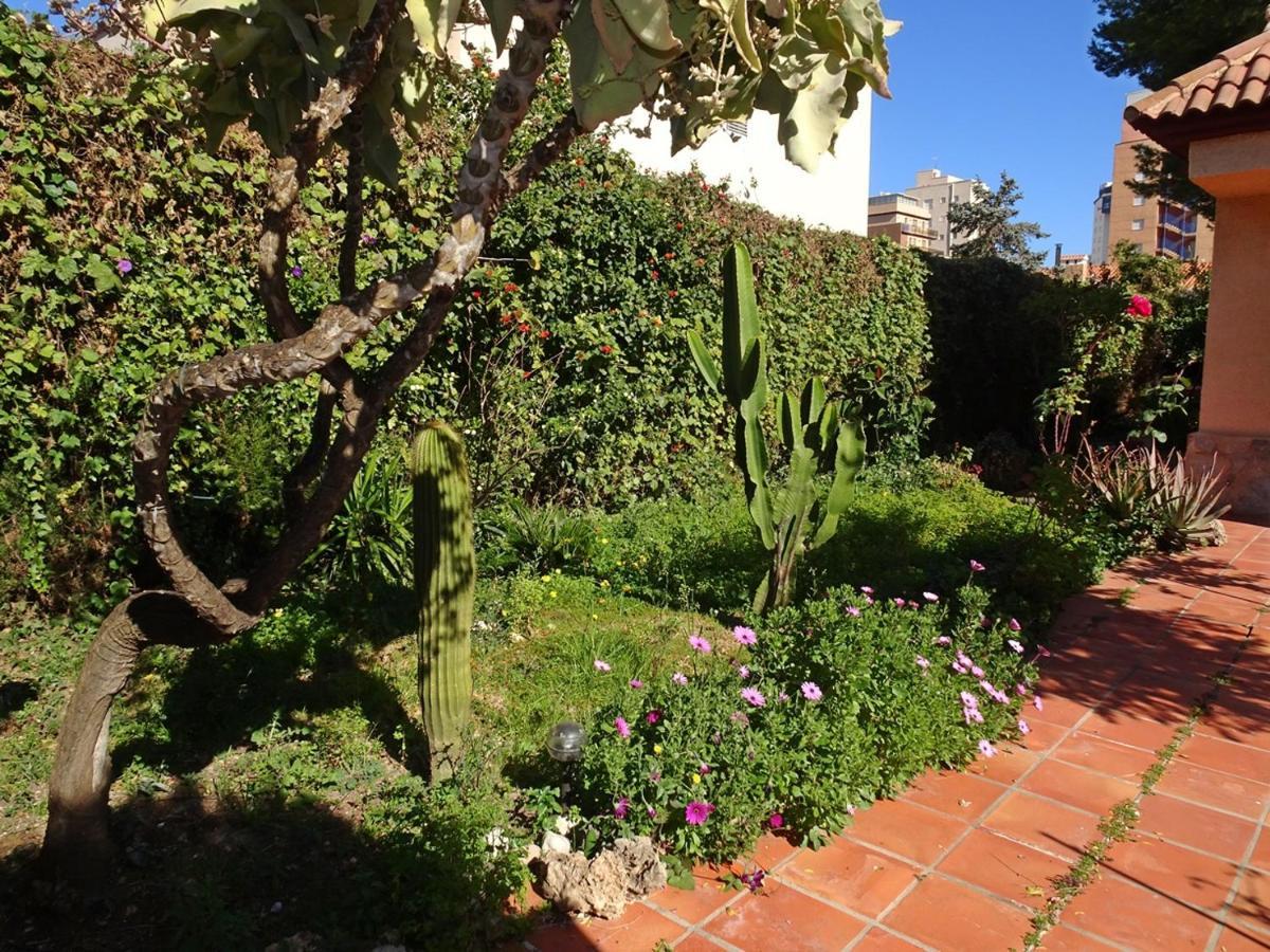 Villa Del Duque, Gandia - Playa de Gandia 外观 照片
